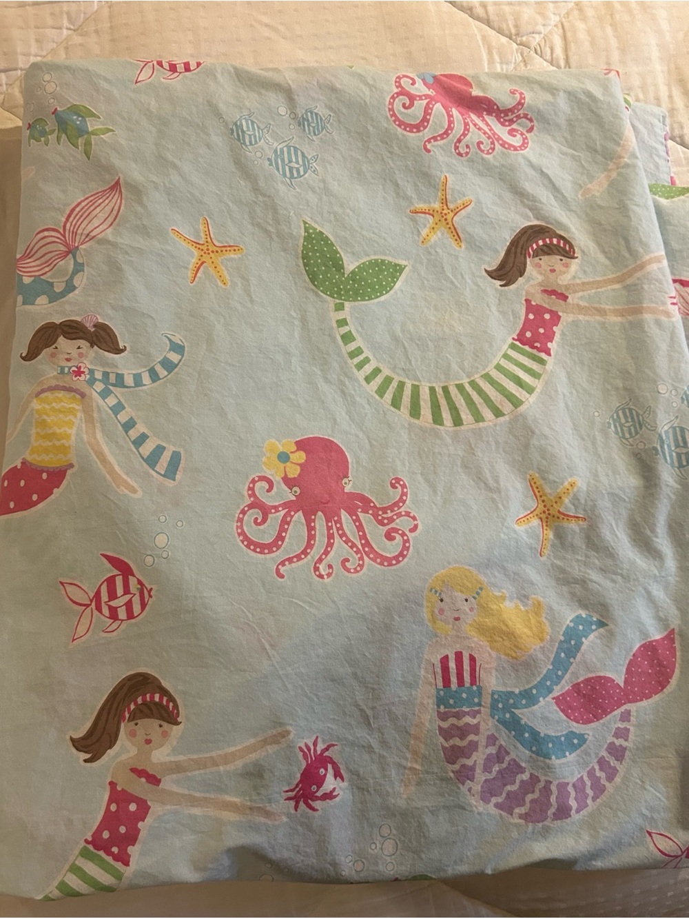 Pottery Barn Kids Queen Duvet Cover